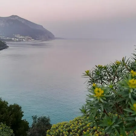Amazing View *